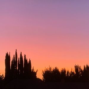 Meet your Posher, Zara